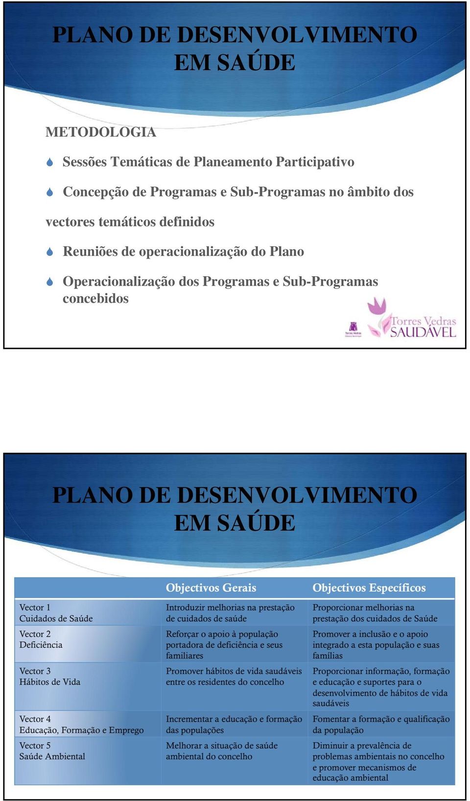 dos vectores temáticos definidos Reuniões de operacionalização do Plano