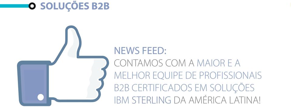 PROFISSIONAIS B2B CERTIFICADOS EM