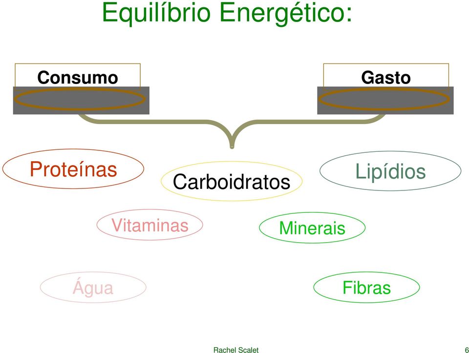 Carboidratos Lipídios