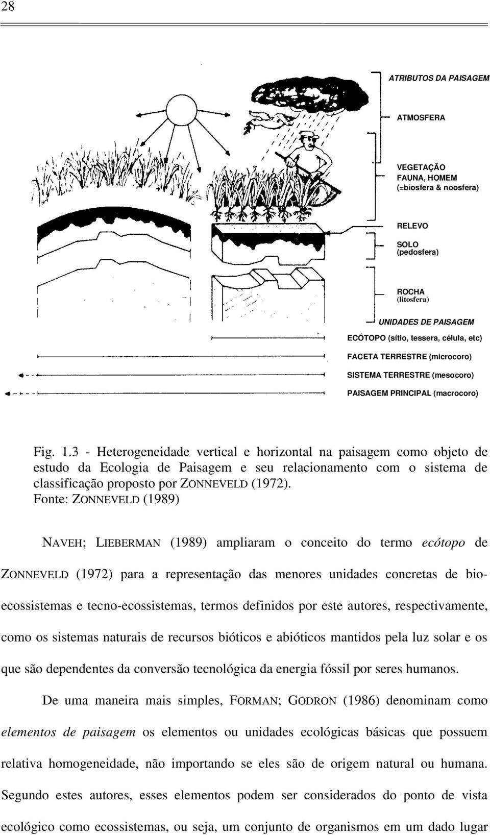 3 - Heterogeneidade vertical e horizontal na paisagem como objeto de estudo da Ecologia de Paisagem e seu relacionamento com o sistema de classificação proposto por ZONNEVELD (1972).