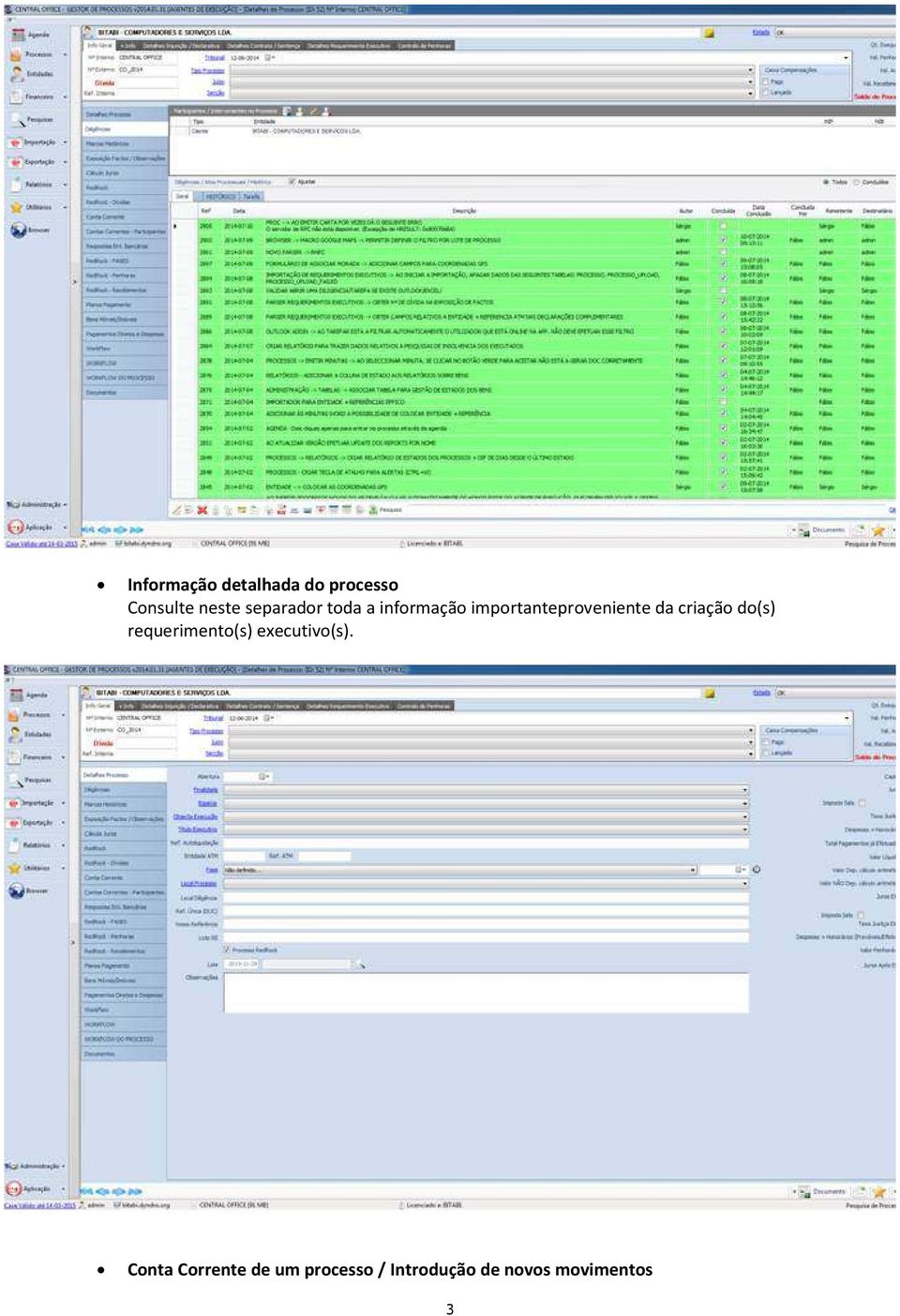 criação do(s) requerimento(s) executivo(s).