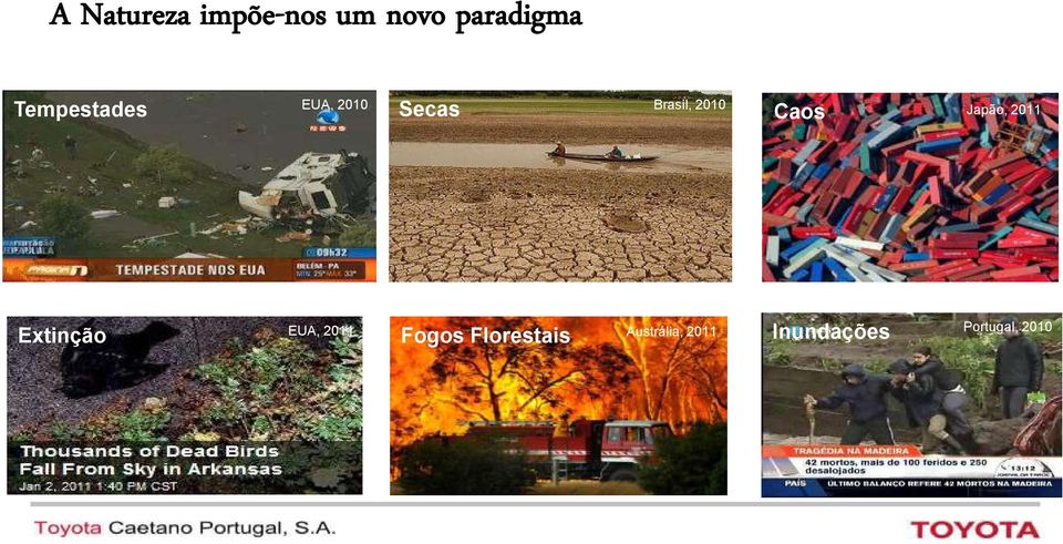 Caos Japão, 2011 Extinção Fogos Florestais