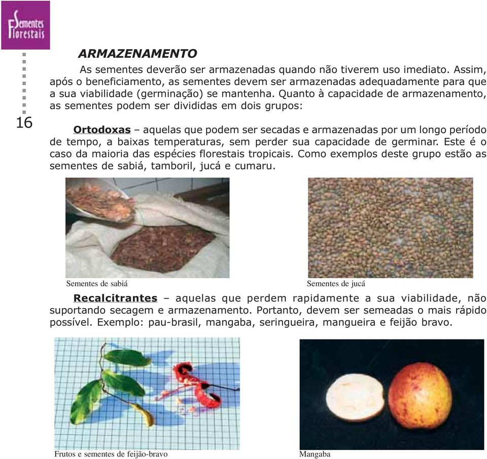 Quanto à capacidade de armazenamento, as sementes podem ser divididas em dois grupos: Ortodoxas aquelas que podem ser secadas e armazenadas por um longo período de tempo, a baixas temperaturas, sem