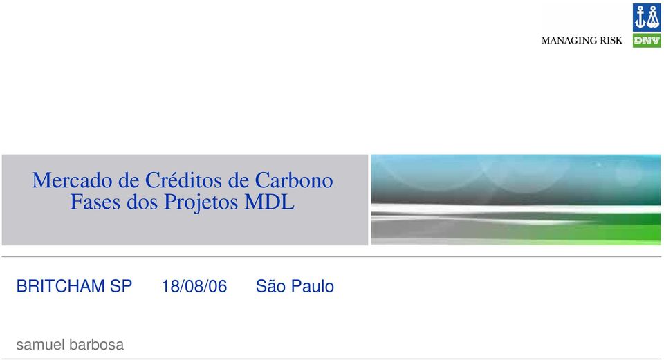 Projetos MDL BRITCHAM SP