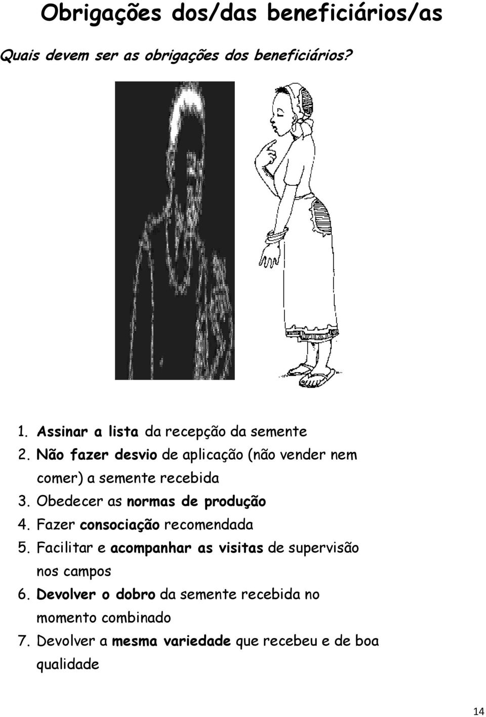 Não fazer desvio de aplicação (não vender nem comer) a semente recebida 3. Obedecer as normas de produção 4.