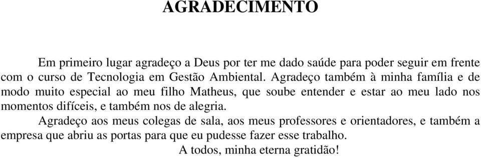 Agradeço também à minha família e de modo muito especial ao meu filho Matheus, que soube entender e estar ao meu lado nos