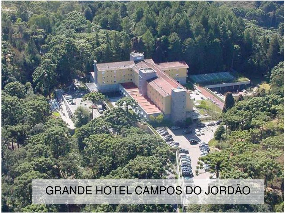 CAMPOS DO