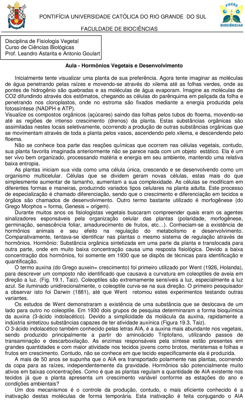 Agora tente imaginar as moléculas de água penetrando pelas raízes e movendo-se através do xilema até as folhas verdes, onde as pontes de hidrogênio são quebradas e as moléculas de água evaporam.