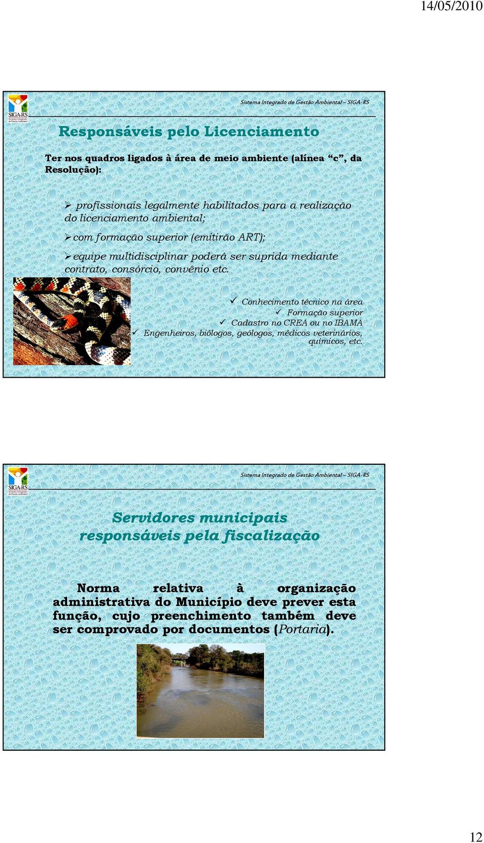 Conhecimento técnico na área Formação superior Cadastro no CREA ou no IBAMA Engenheiros, biólogos, geólogos, médicos veterinários, químicos, etc.