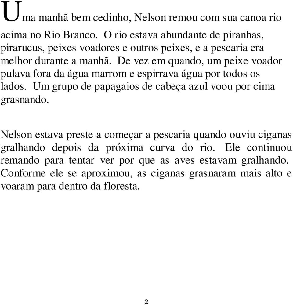 De vez em quando, um peixe voador pulava fora da água marrom e espirrava água por todos os lados.