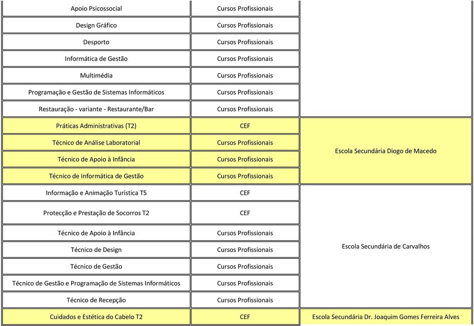 Secundária Diogo de Macedo Protecção e Prestação de Socorros T2 Técnico de Apoio à Infância Técnico de Design Técnico de Gestão Técnico de Gestão e