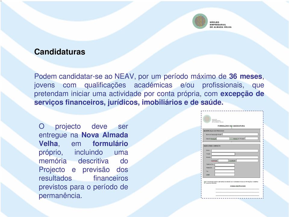 jurídicos, imobiliários e de saúde.