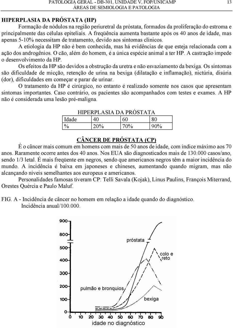 A etiologia da HP não é bem conhecida, mas há evidências de que esteja relacionada com a ação dos androgênios. O cão, além do homem, é a única espécie animal a ter HP.