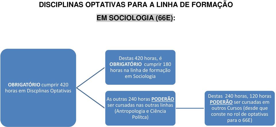 na linha de formação em Sociologia (Antropologia e