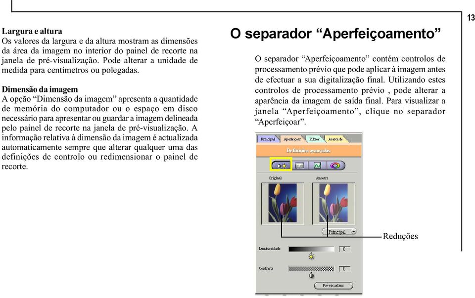 Dimensão da imagem A opção Dimensão da imagem apresenta a quantidade de memória do computador ou o espaço em disco necessário para apresentar ou guardar a imagem delineada pelo painel de recorte na