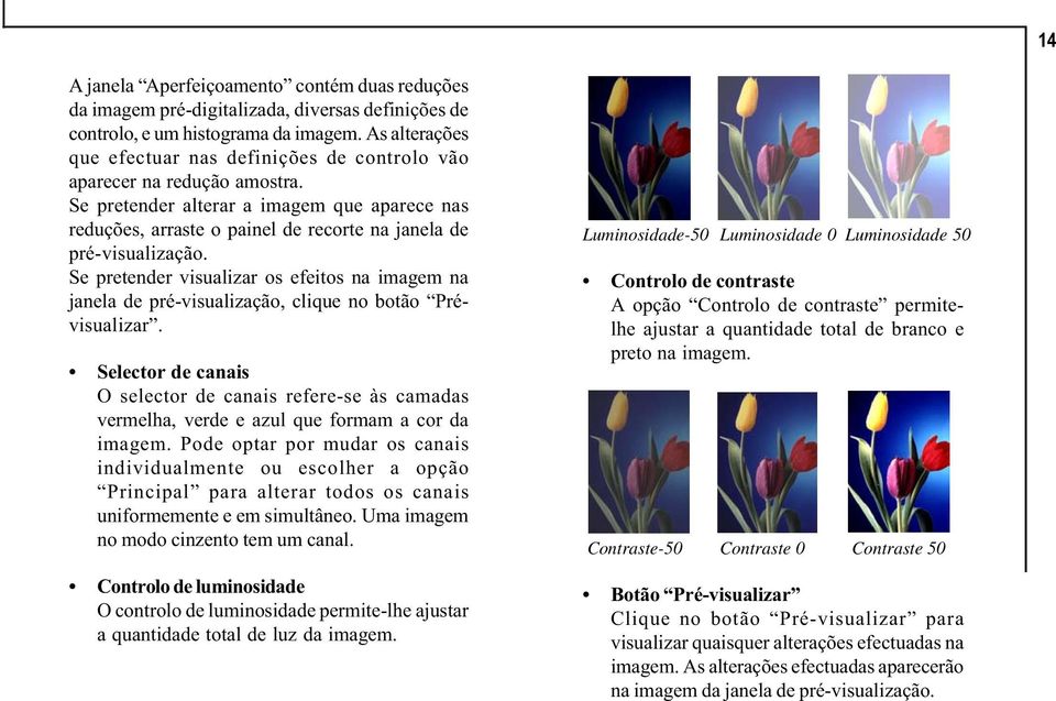 Se pretender alterar a imagem que aparece nas reduções, arraste o painel de recorte na janela de pré-visualização.