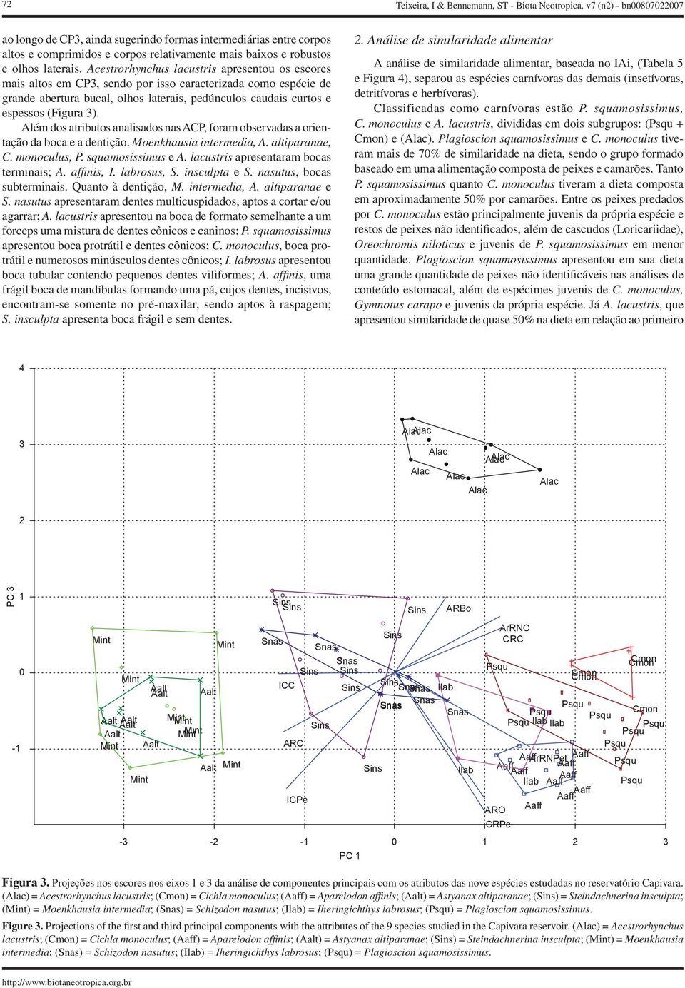 Acestrorhynchus lacustris apresentou os escores mais altos em CP3, sendo por isso caracterizada como espécie de grande abertura bucal, olhos laterais, pedúnculos caudais curtos e espessos (Figura 3).