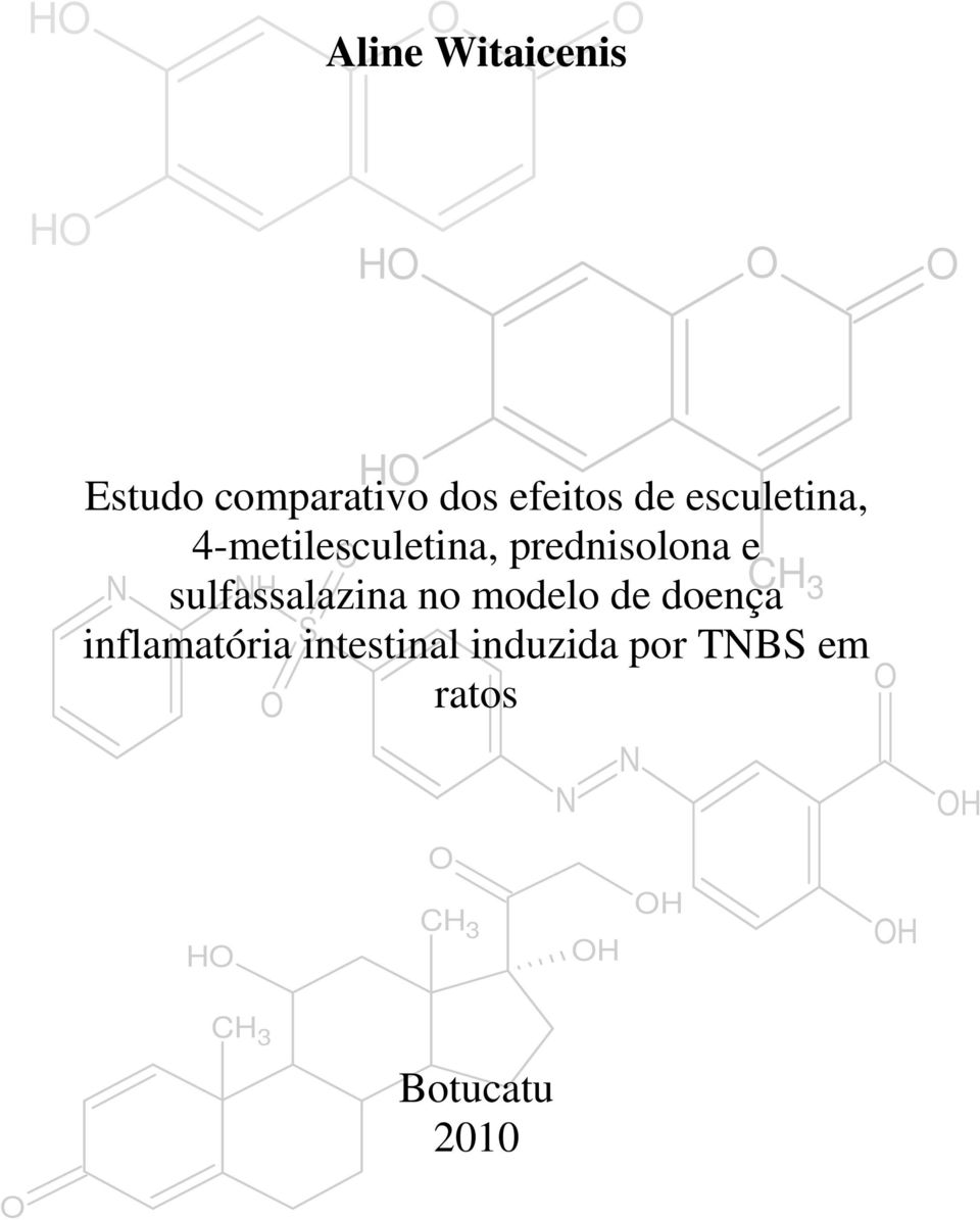 sulfassalazina NH no modelo de doença CH 3 inflamatória