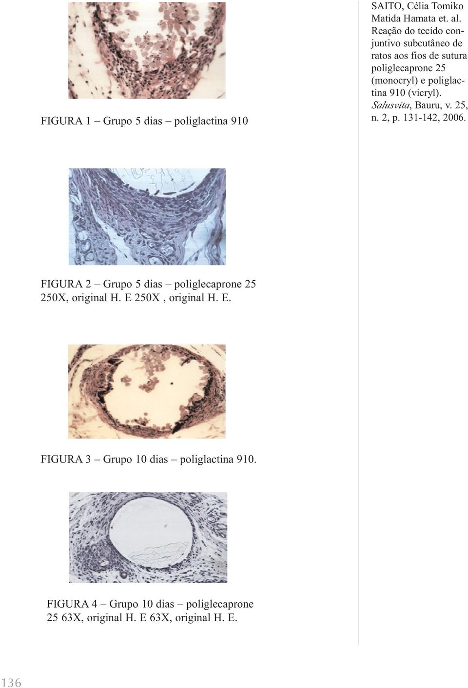 250X, original H. E. FIGURA 3 Grupo 10 dias poliglactina 910.