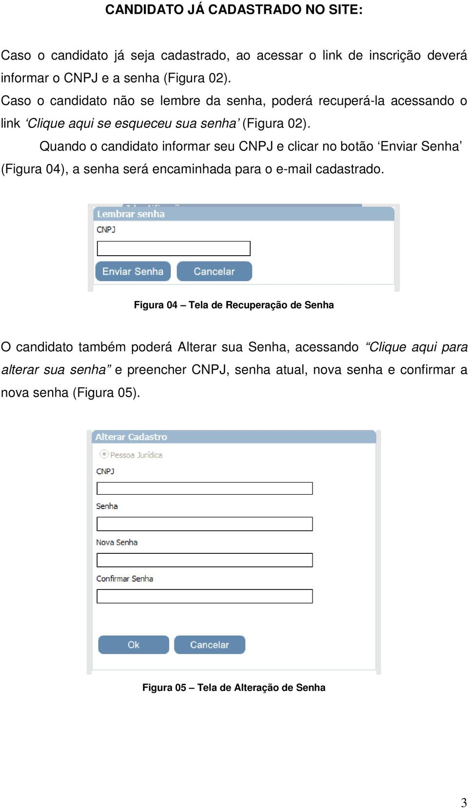 Quand candidat infrmar seu CNPJ e clicar n btã Enviar Senha (Figura 04), a senha será encaminhada para e-mail cadastrad.