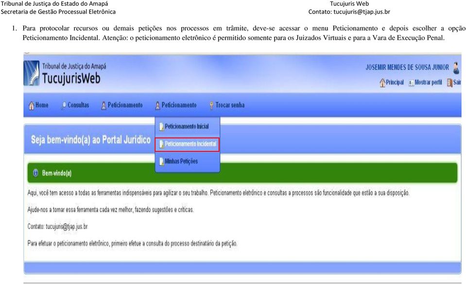 opção Peticionamento Incidental.