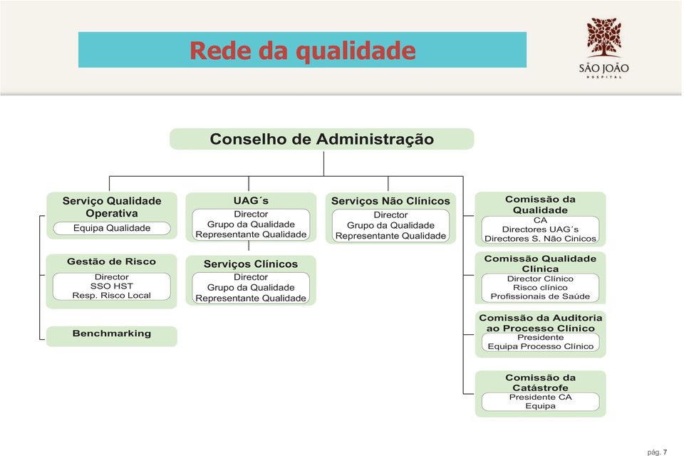 Não Cinicos Gestão de Risco Director SSO HST Resp.