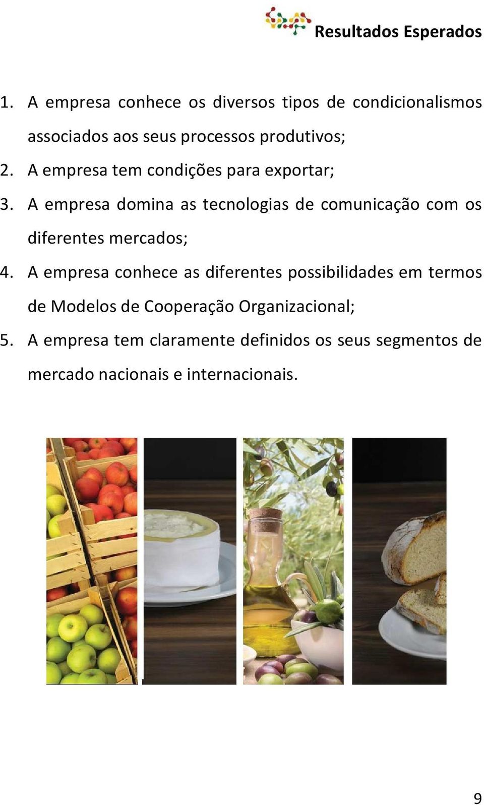 A empresa tem condições para exportar; 3.