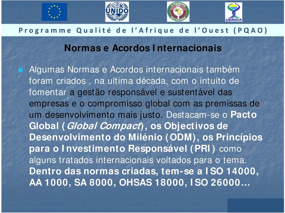 Destacam-se o Pacto Global (Global Compact), os Objectivos de Desenvolvimento do Milénio (ODM), os Princípios para o Investimento