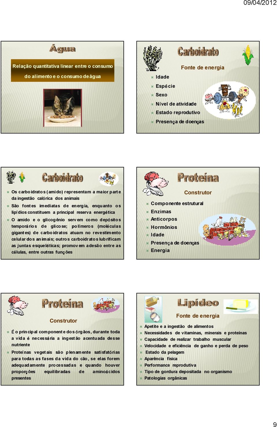 mo d epósito s temporáriorio s d e glico se; po lí mero s (moléculas gigant es) d e carbo idratos atuam no revestimento celular do s an imais; outro s carboidrato s lub rificam as juntas esqueléticas