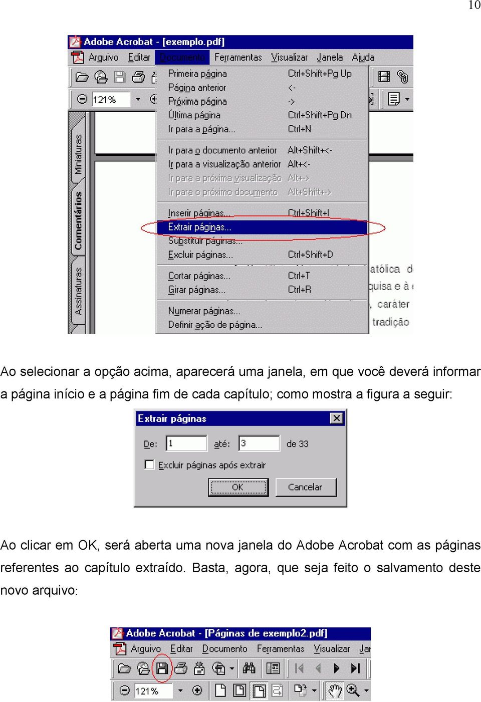 clicar em OK, será aberta uma nova janela do Adobe Acrobat com as páginas