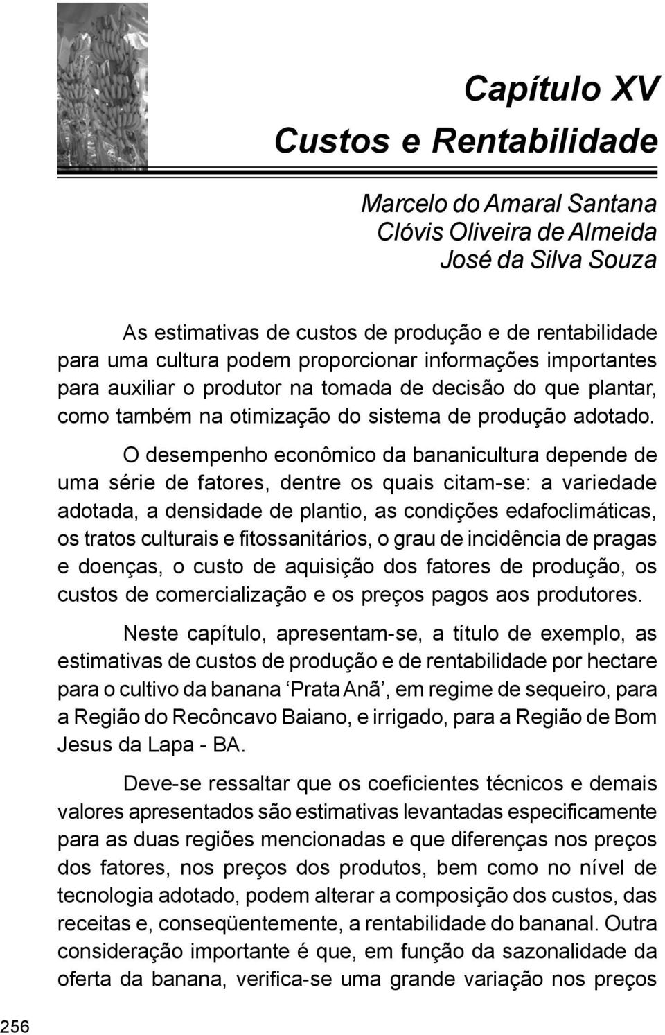 O desempenho econômico da bananicultura depende de uma série de fatores, dentre os quais citam-se: a variedade adotada, a densidade de plantio, as condições edafoclimáticas, os tratos culturais e