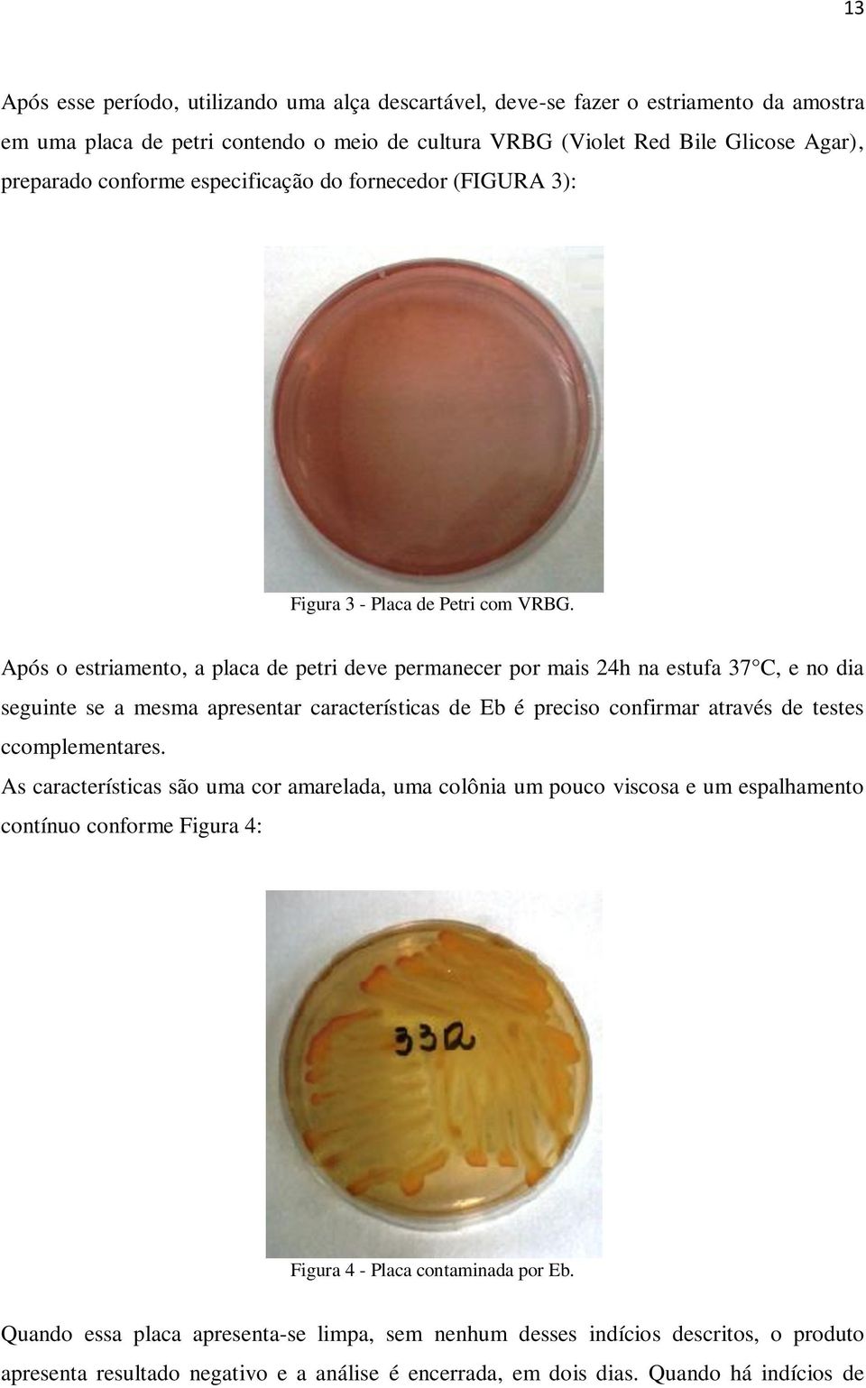 Após o estriamento, a placa de petri deve permanecer por mais 24h na estufa 37 C, e no dia seguinte se a mesma apresentar características de Eb é preciso confirmar através de testes ccomplementares.