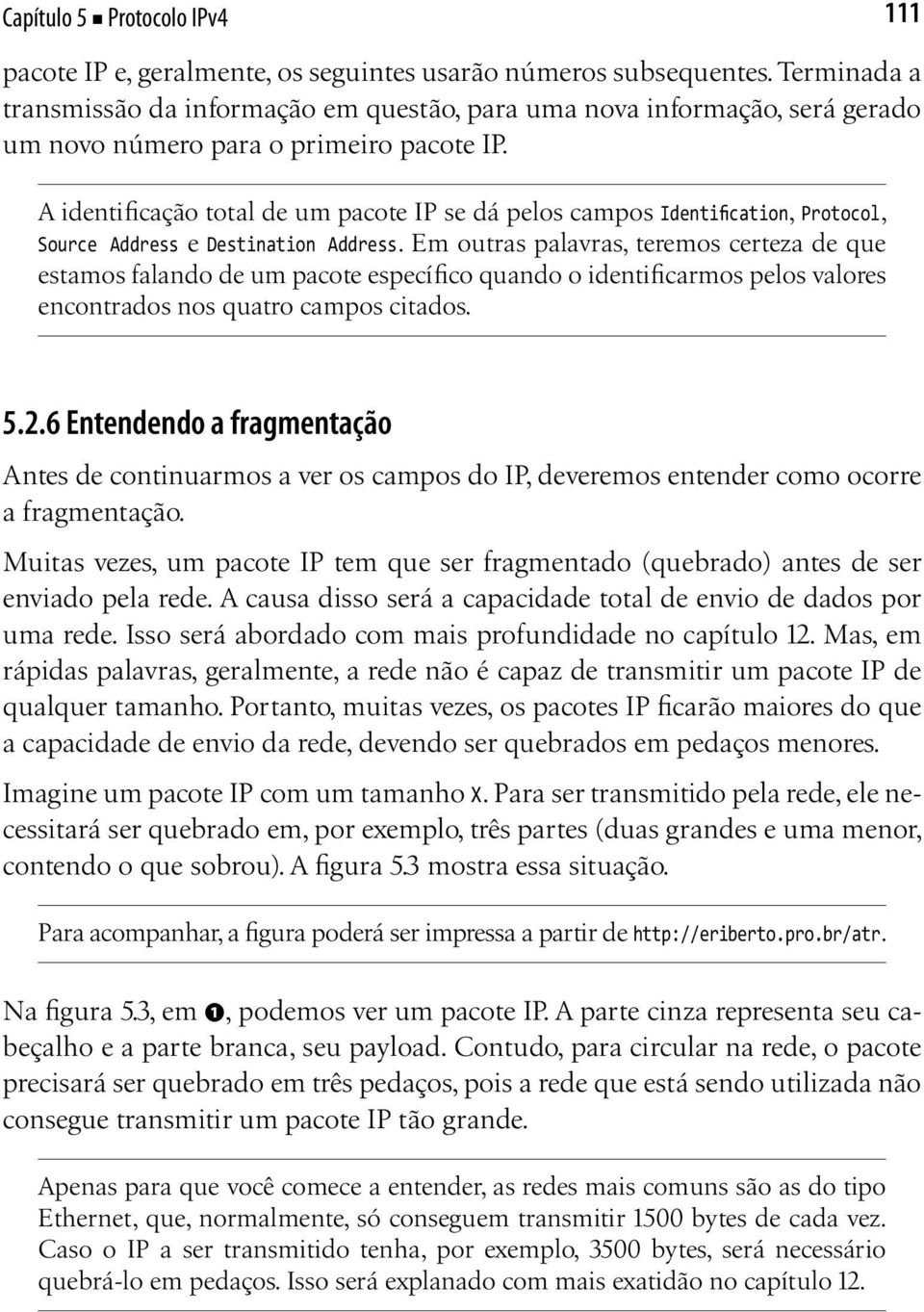 A identificação total de um pacote IP se dá pelos campos Identification, Protocol, Source Address e Destination Address.