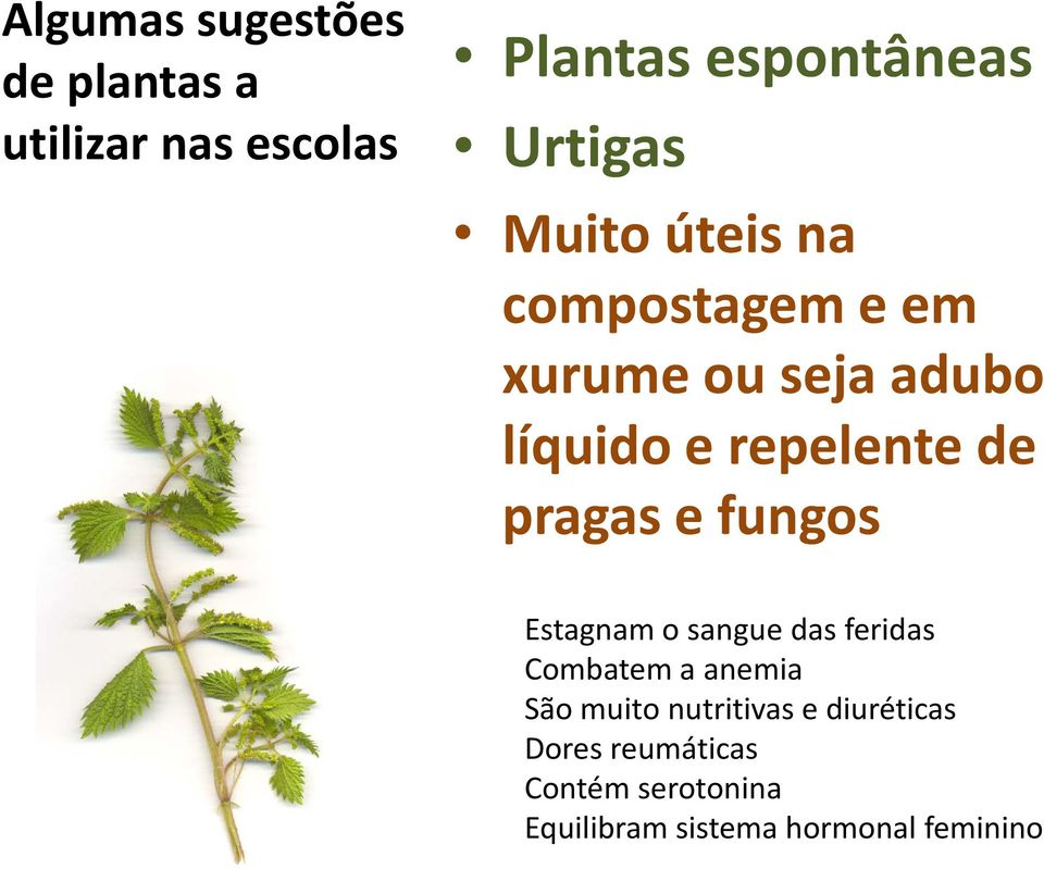 pragas e fungos Estagnam o sangue das feridas Combatem a anemia São muito