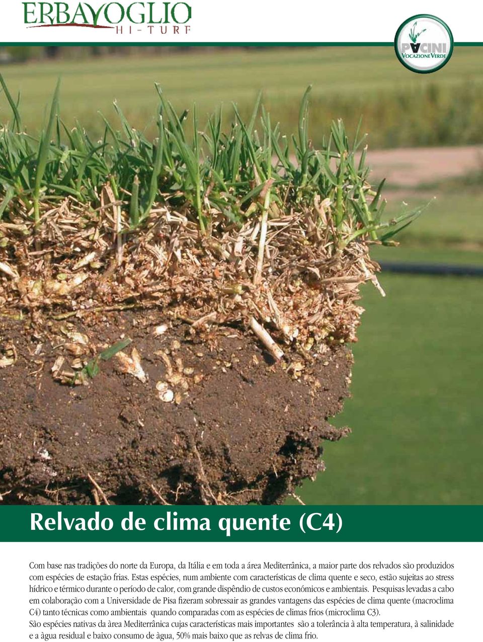 Pesquisas levadas a cabo em colaboração com a Universidade de Pisa fizeram sobressair as grandes vantagens das espécies de clima quente (macroclima C4) tanto técnicas como ambientais quando