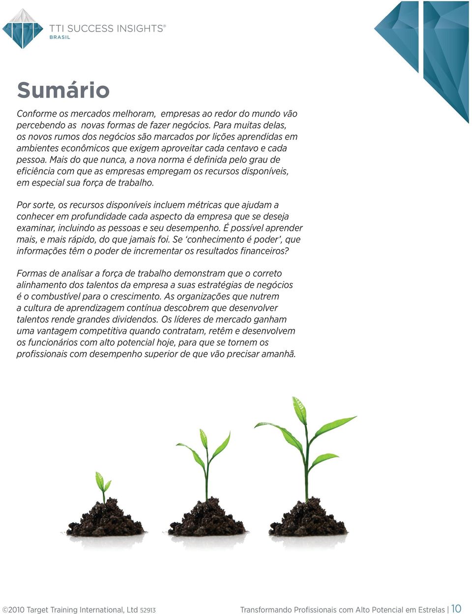 Mais do que nunca, a nova norma é definida pelo grau de eficiência com que as empresas empregam os recursos disponíveis, em especial sua força de trabalho.