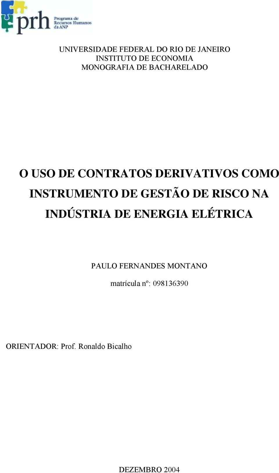 INSTRUMENTO DE GESTÃO DE RISCO NA INDÚSTRIA DE ENERGIA ELÉTRICA PAULO