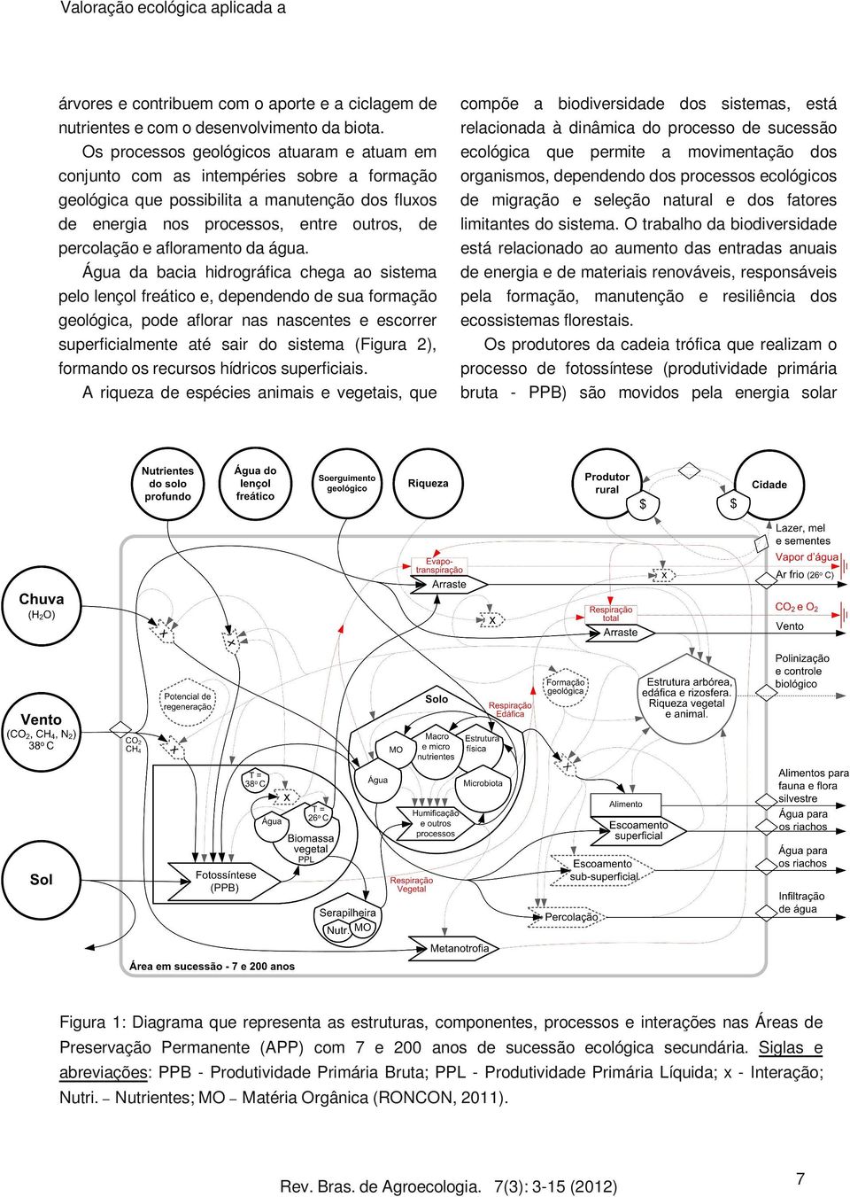 afloramento da água.