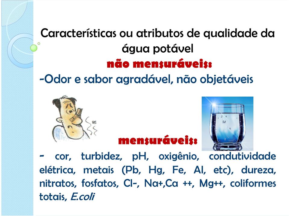 cor, turbidez, ph, oxigênio, condutividade elétrica, metais (Pb, Hg,