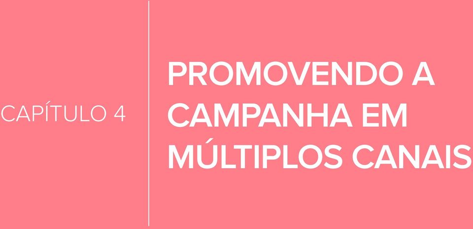 CAMPANHA EM