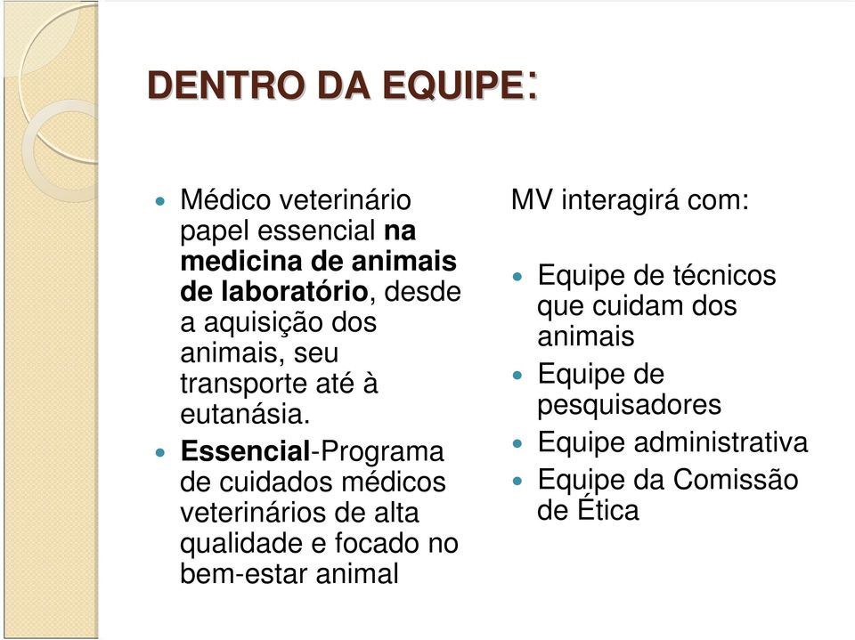 Essencial-Programa de cuidados médicos veterinários de alta qualidade e focado no bem-estar