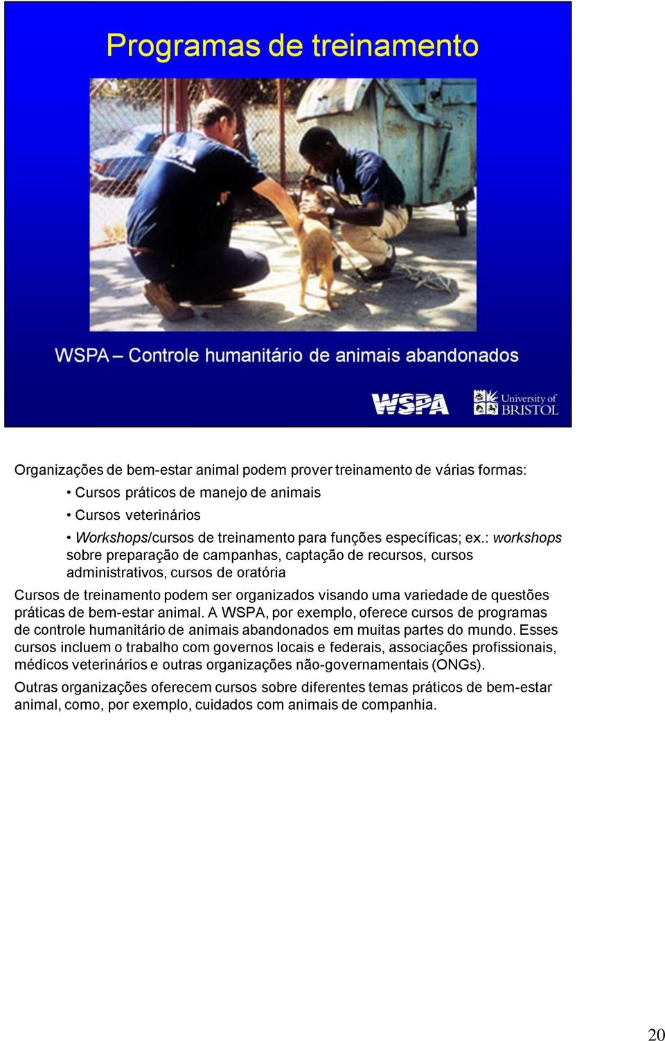 bem-estar animal. A WSPA, por exemplo, oferece cursos de programas de controle humanitário de animais abandonados em muitas partes do mundo.