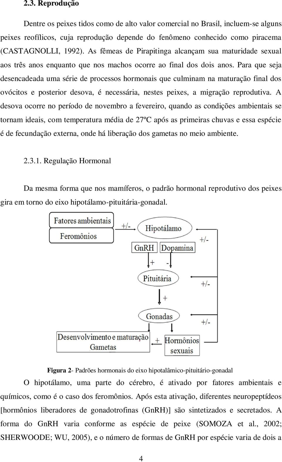 Para que seja desencadeada uma série de processos hormonais que culminam na maturação final dos ovócitos e posterior desova, é necessária, nestes peixes, a migração reprodutiva.