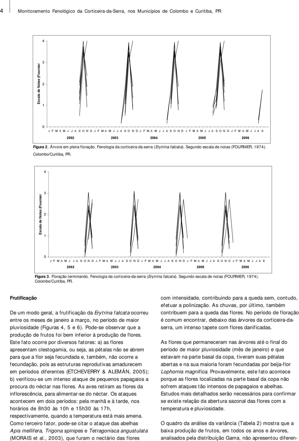 Frutificação De um modo geral, a frutificação da Erytrina falcata ocorreu entre os meses de janeiro a março, no período de maior pluviosidade (Figuras, 5 e 6).