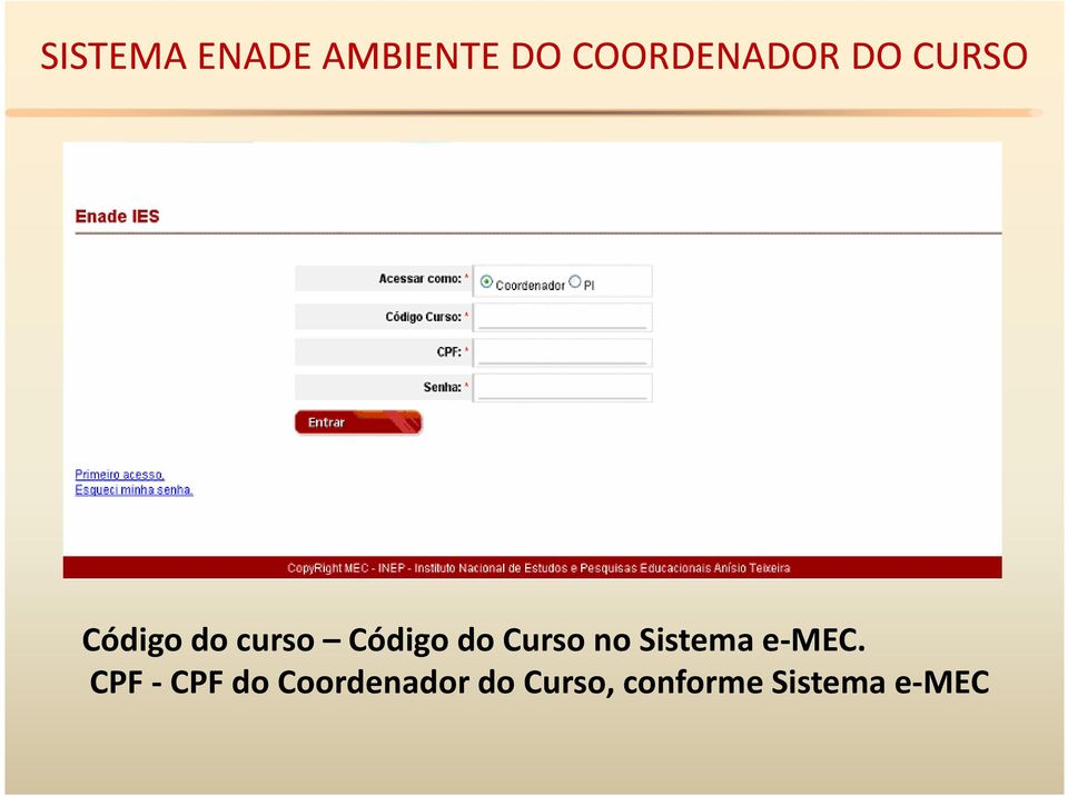 CPF - CPF do Coordenador