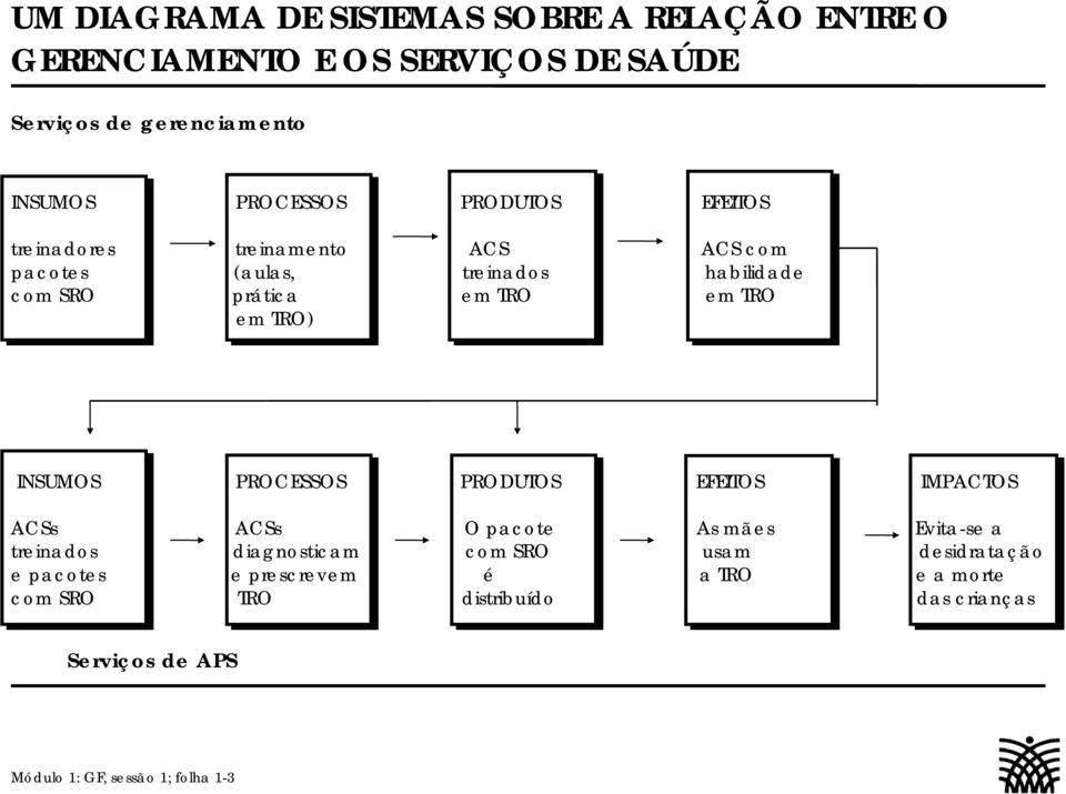 INSUMOS PROCESSOS PRODUTOS EFEITOS IMPACTOS ACSs ACSs O pacote As mães Evita-se a treinados diagnosticam com SRO usam