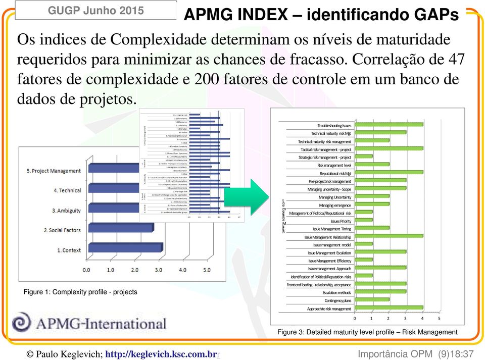 Figure 1: Complexity profile - projects t n e m a g e a n M isk R Troubleshooting Issues Technical maturity risk Mgt Technical maturity risk management Tactical risk management -project Strategic