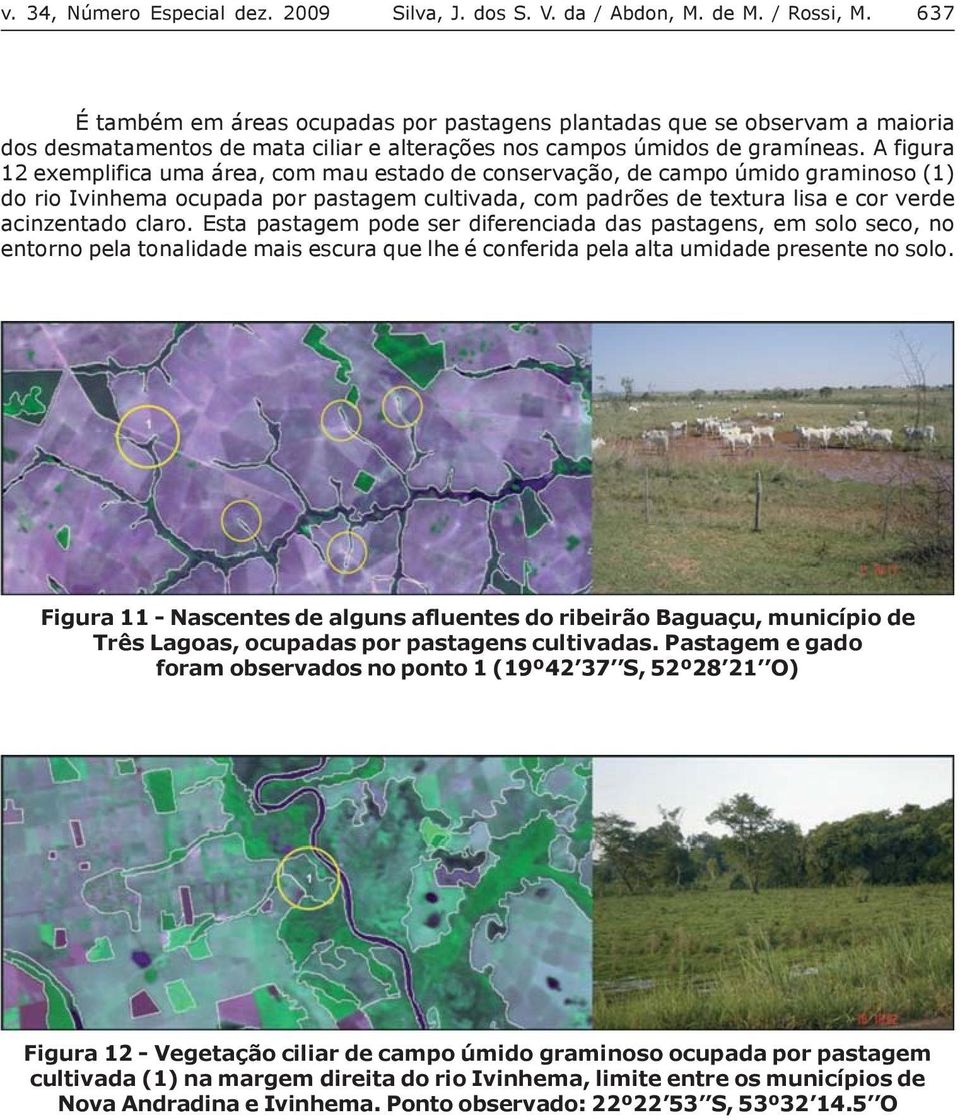 A figura 12 exemplifica uma área, com mau estado de conservação, de campo úmido graminoso (1) do rio Ivinhema ocupada por pastagem cultivada, com padrões de textura lisa e cor verde acinzentado claro.