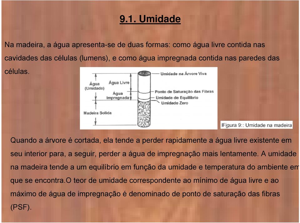 Quando a árvore é cortada, ela tende a perder rapidamente a água livre existente em seu interior para, a seguir, perder a água de impregnação mais