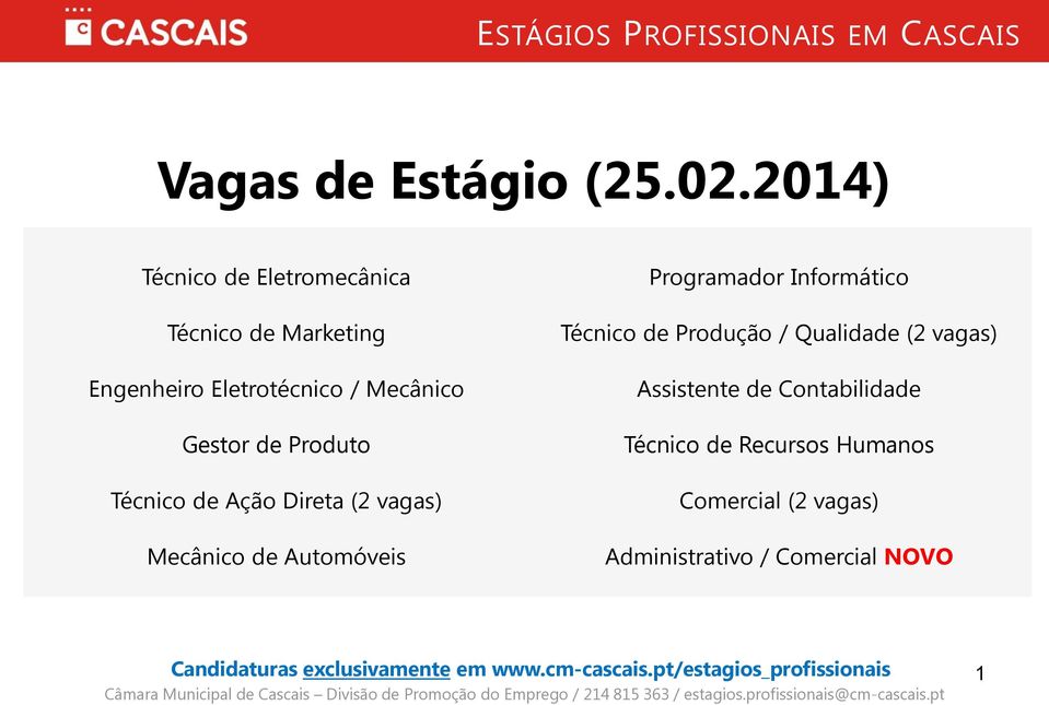 Ação Direta (2 vagas) Mecânico de Automóveis Programador Informático Técnico de Produção / Qualidade (2 vagas)